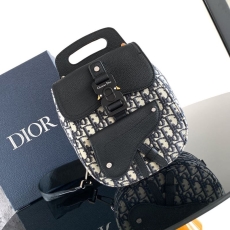 Christian Dior Waist Chest Packs